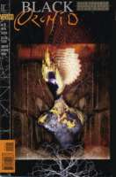 A Walk On The Wyrd Side #15