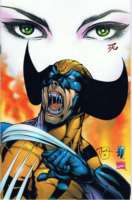 Dark Night Of Judgement #1B